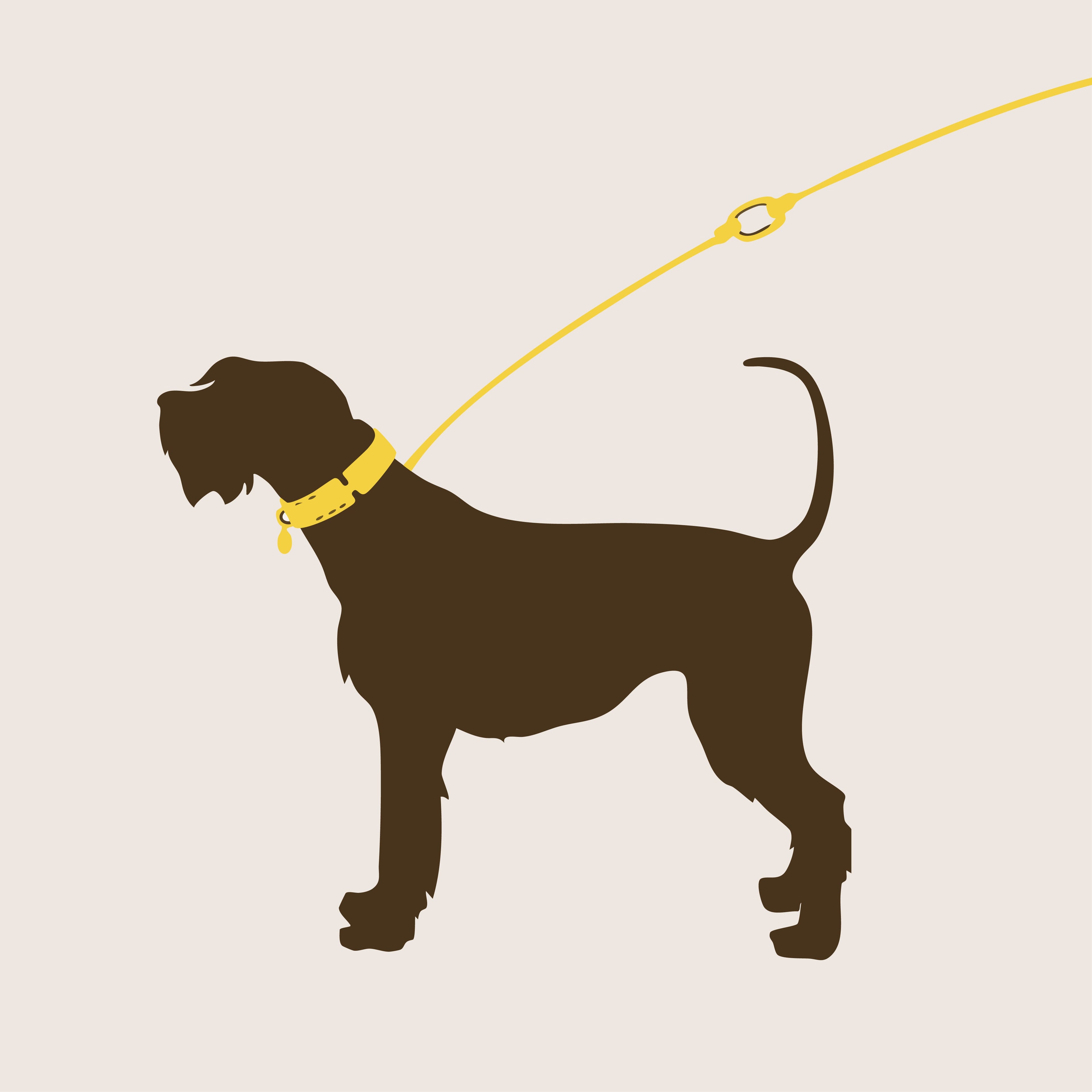 Leash