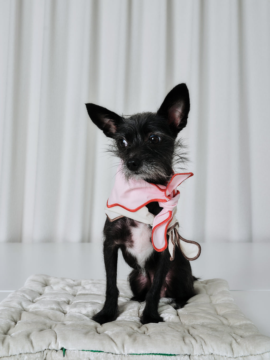 The Laguna Wave  Parent-pup Set