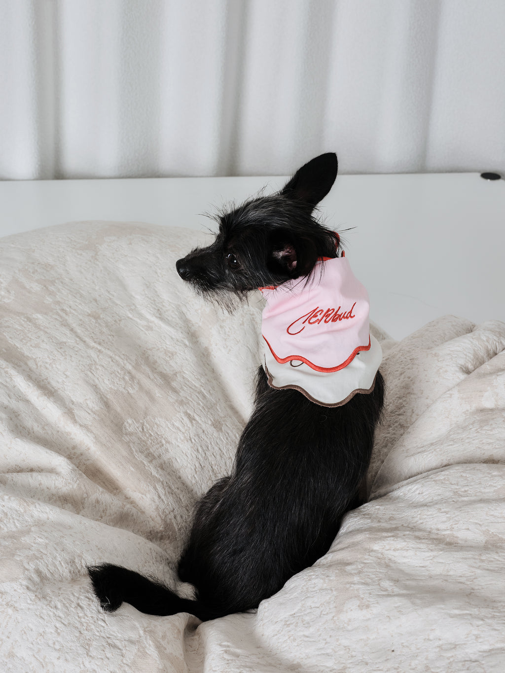The Laguna Wave  Parent-pup Set