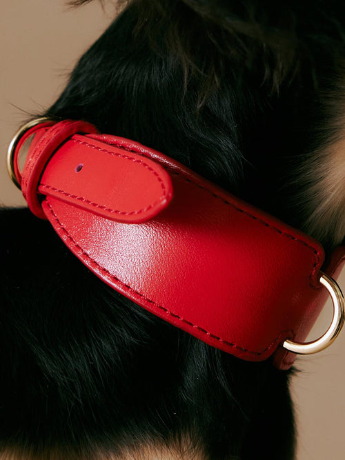 Classic H-shape Collar