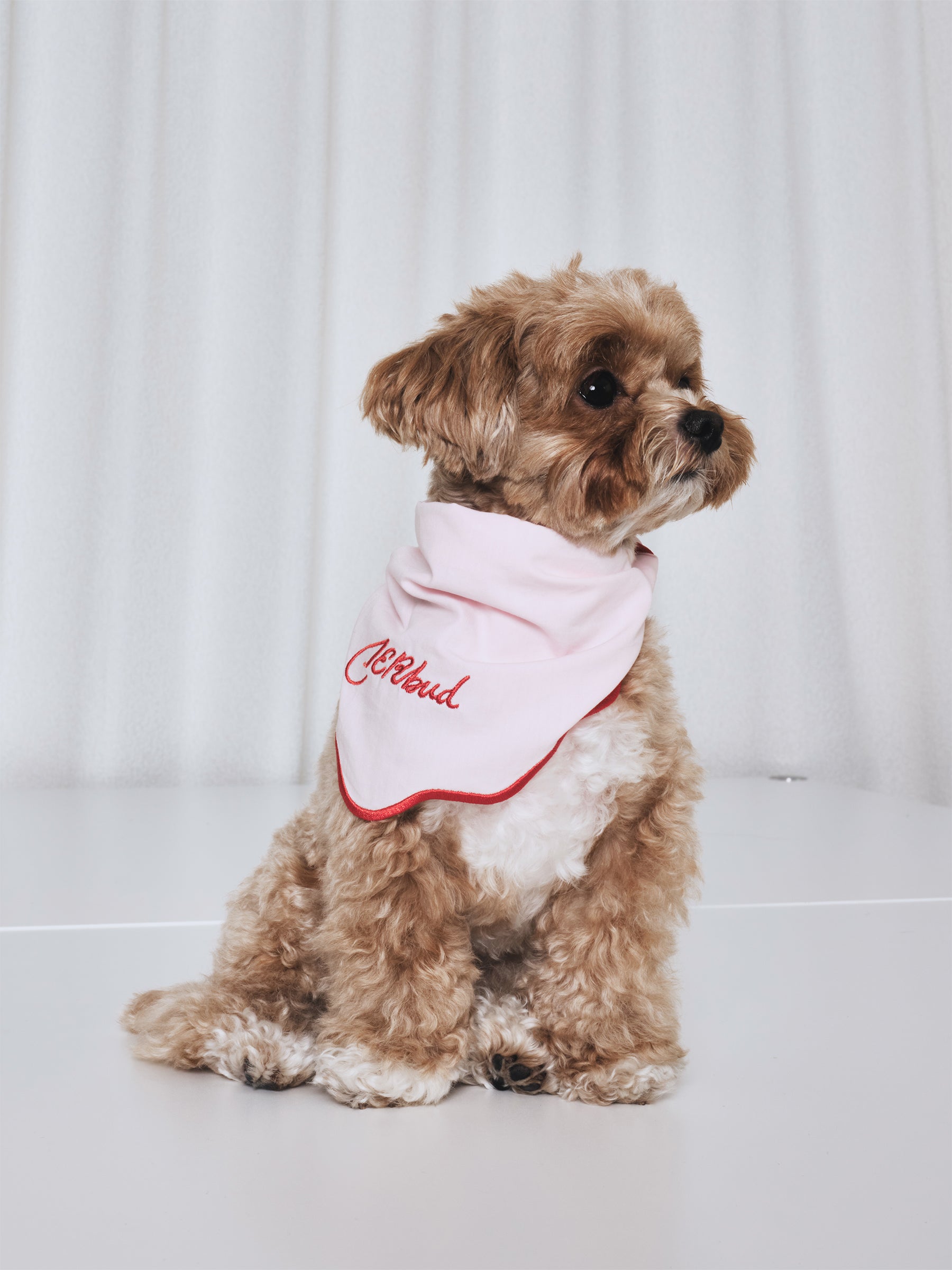 The Laguna Wave  Parent-pup Set
