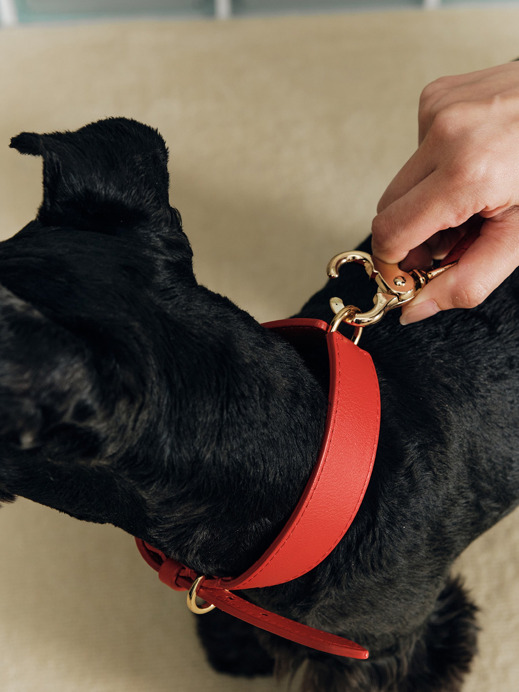 The Heritage leash