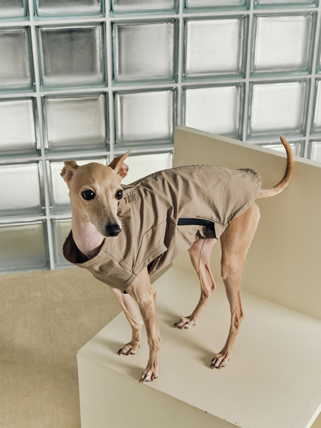 Sun-Protection Vest