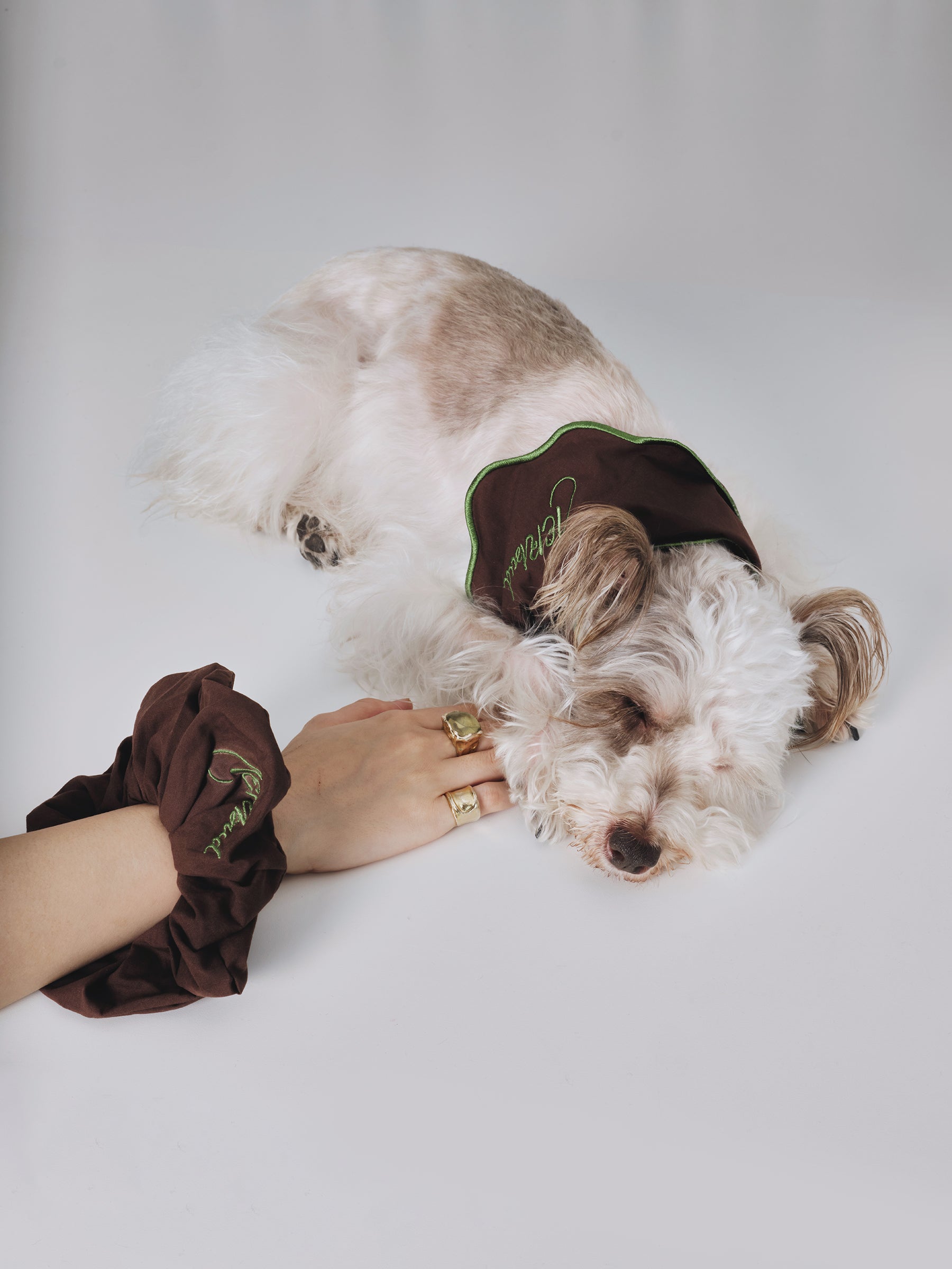The Laguna Wave  Parent-pup Set