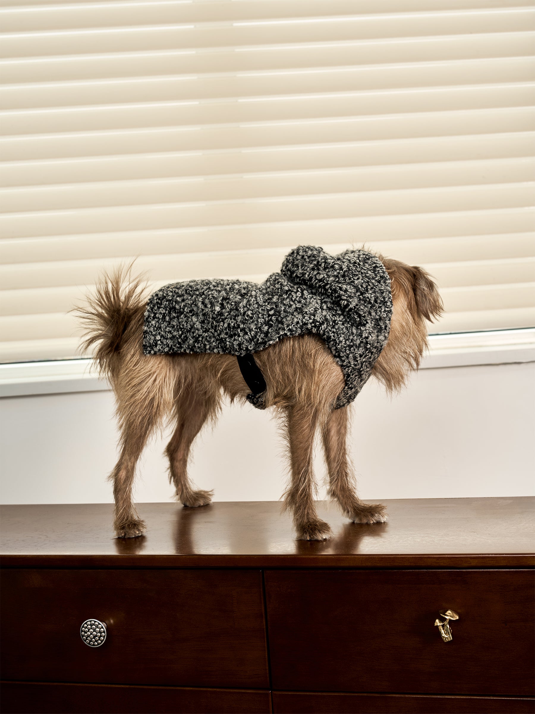 Shearling Buckle Vest