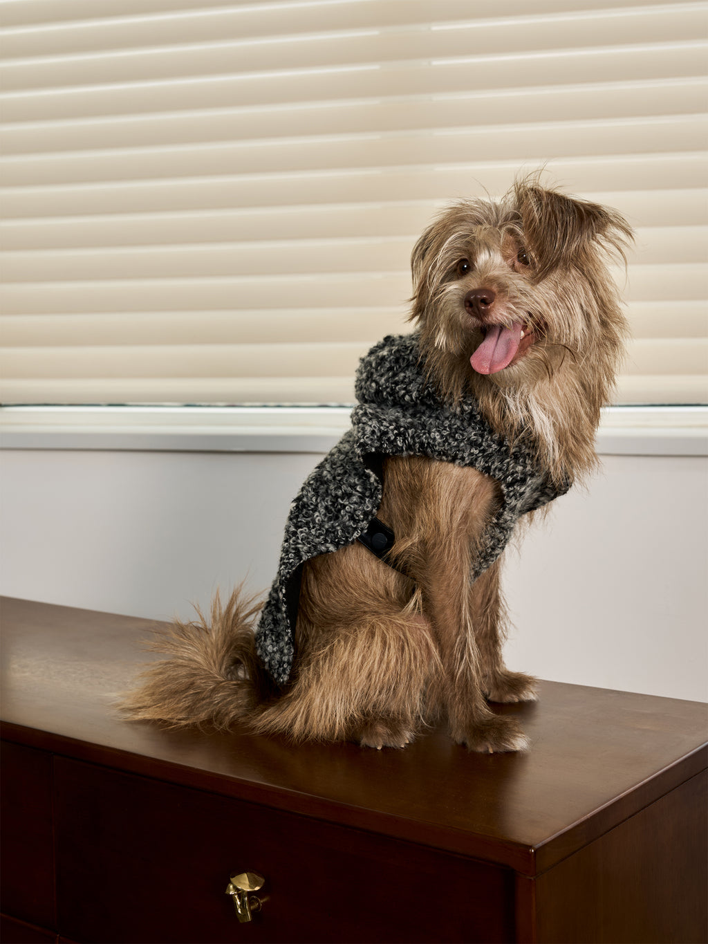 Shearling Buckle Vest