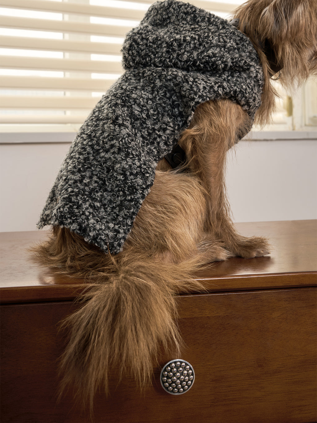 Shearling Buckle Vest