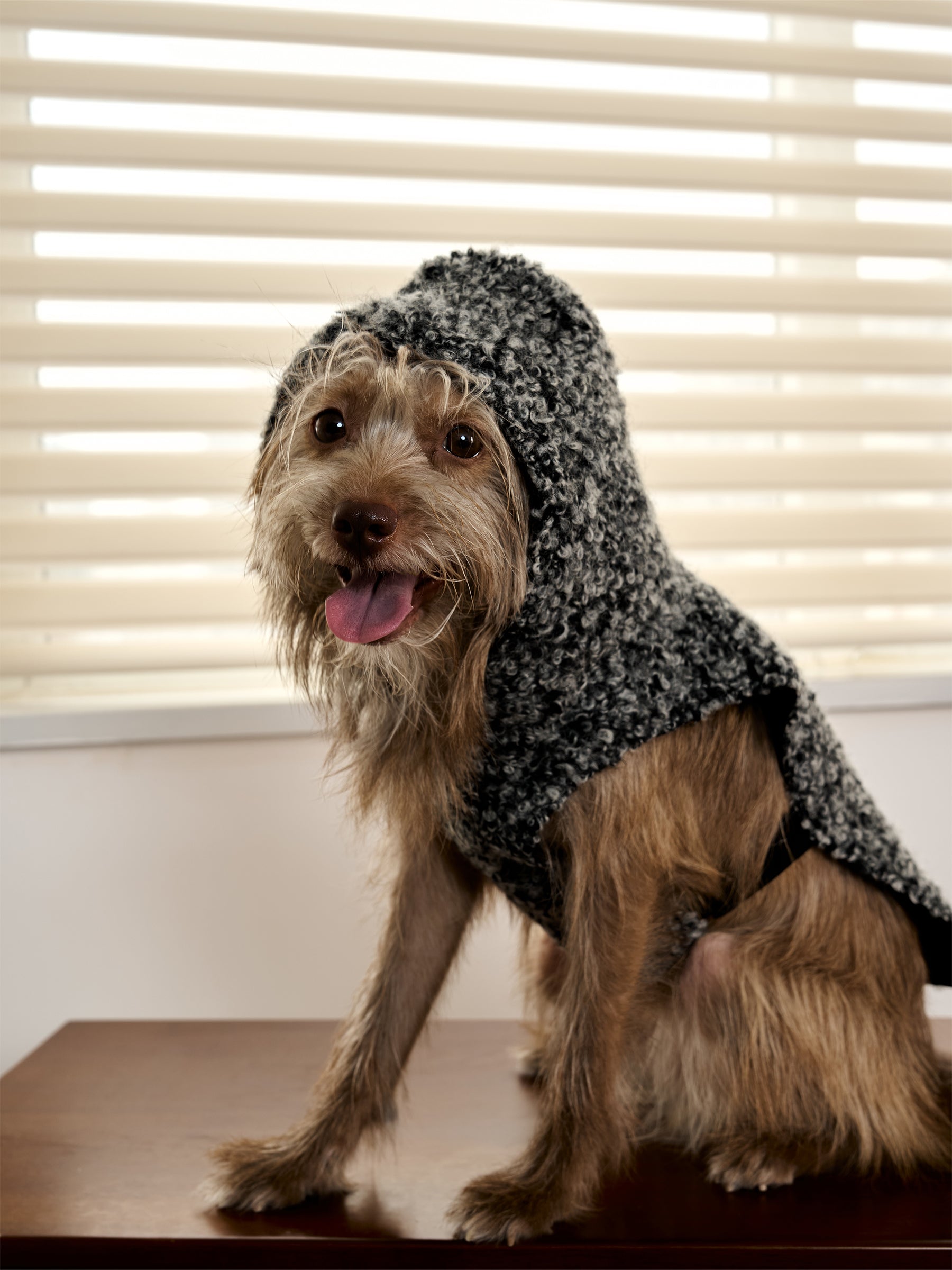 Shearling Buckle Vest