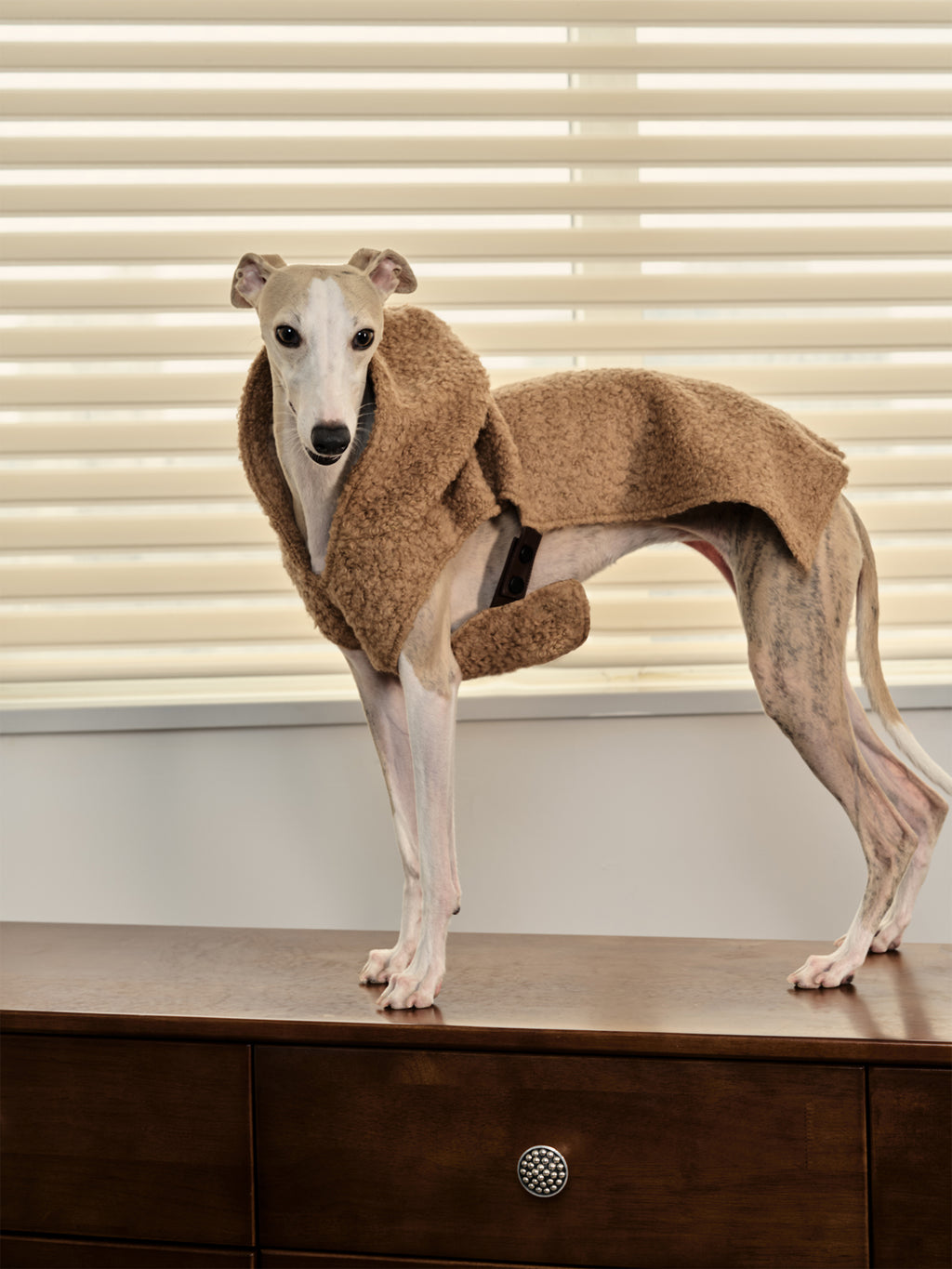 Shearling Buckle Vest