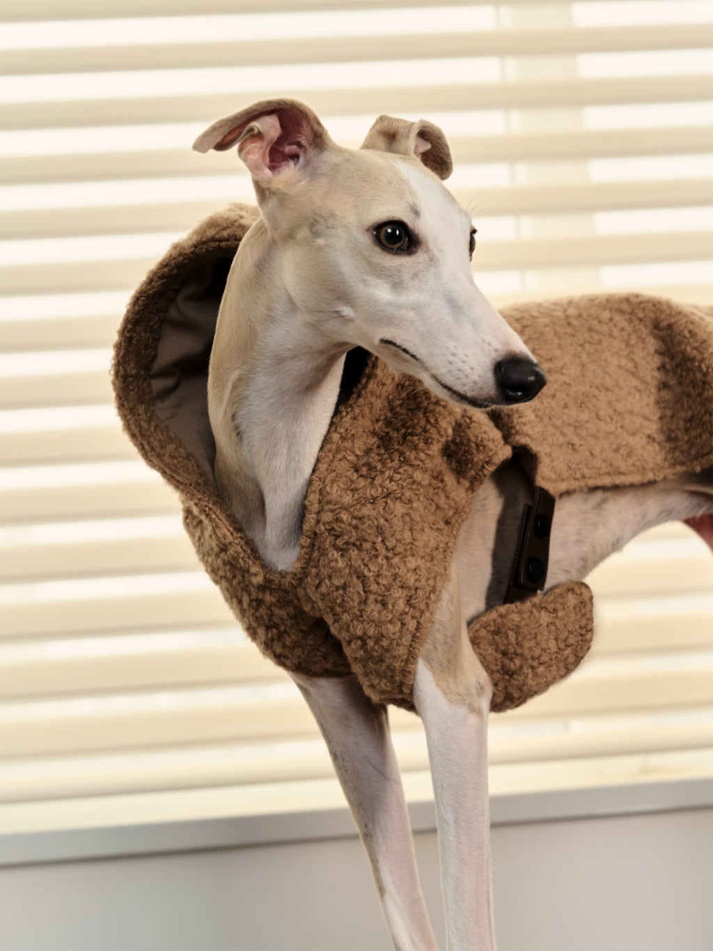 Shearling Buckle Vest