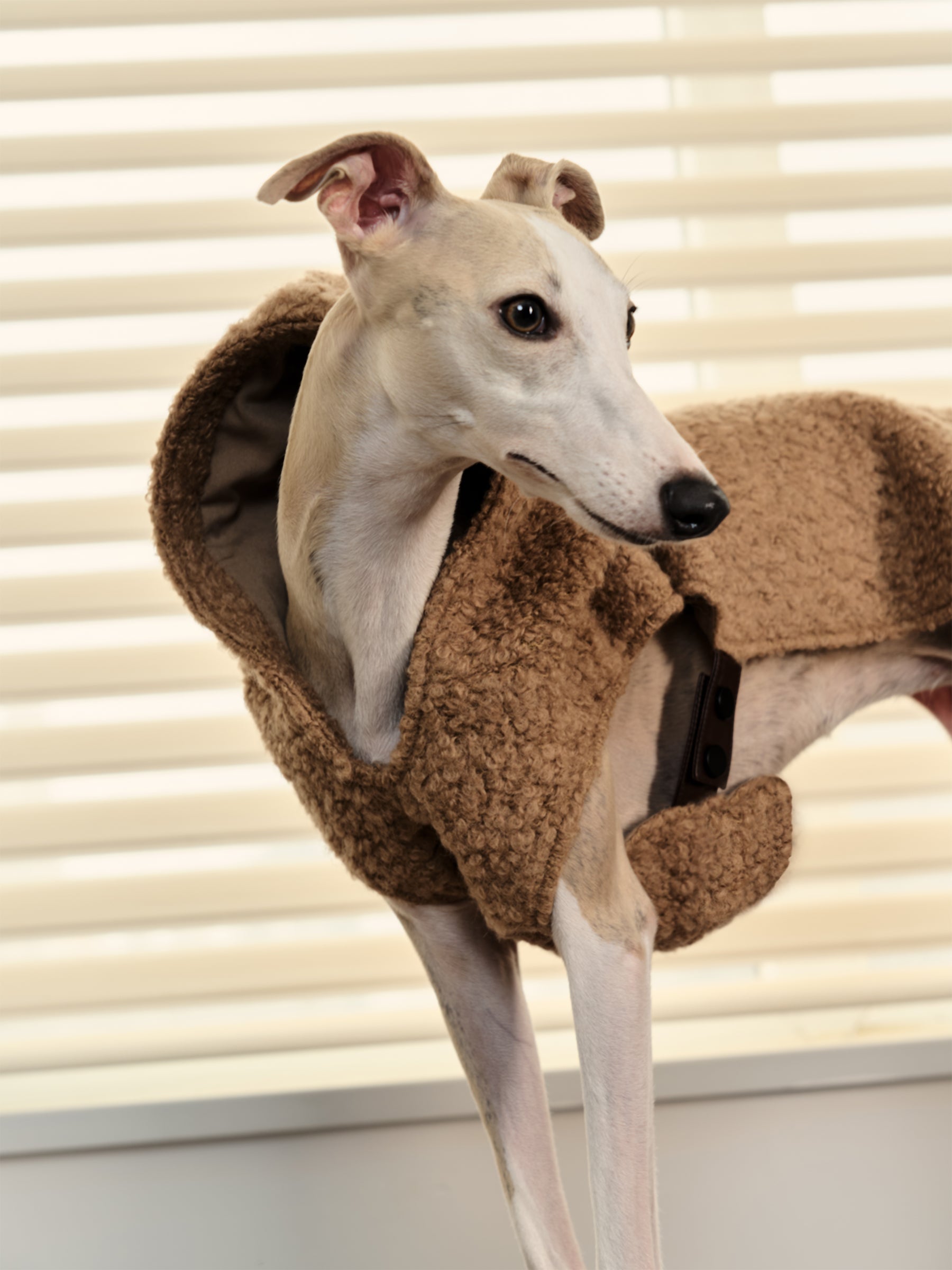 Shearling Buckle Vest