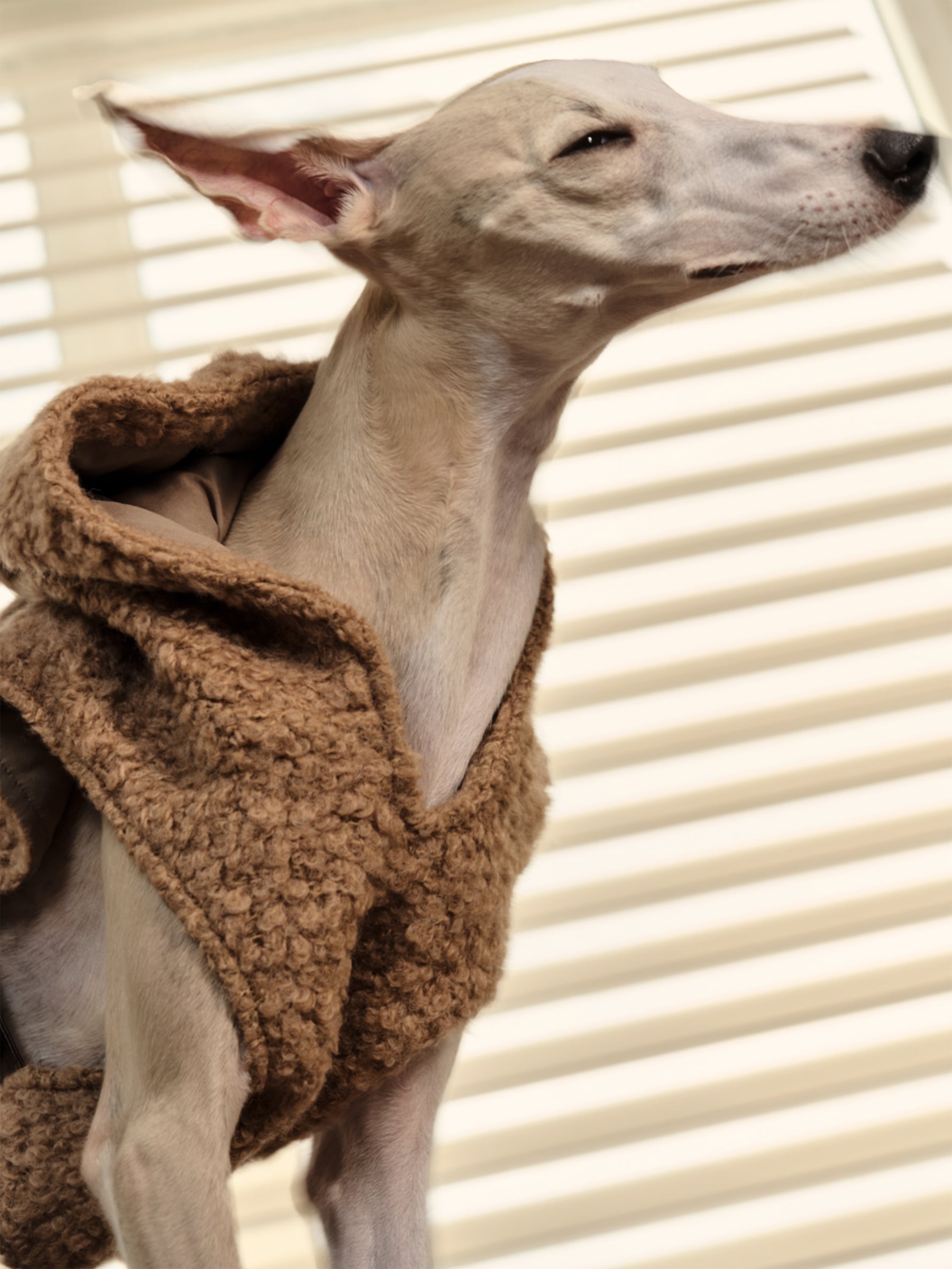 Shearling Buckle Vest