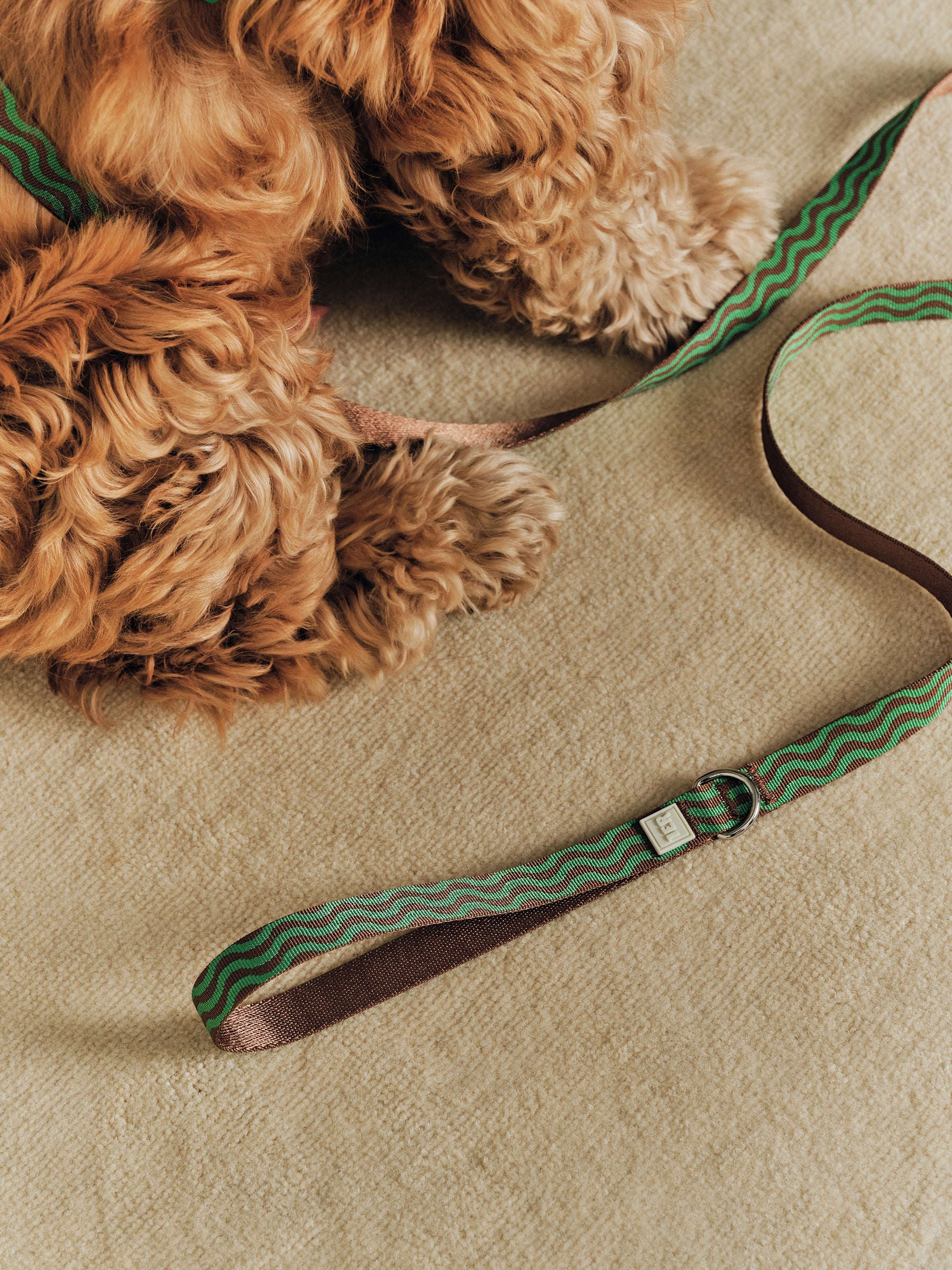 “The Laguna Wave” Leash