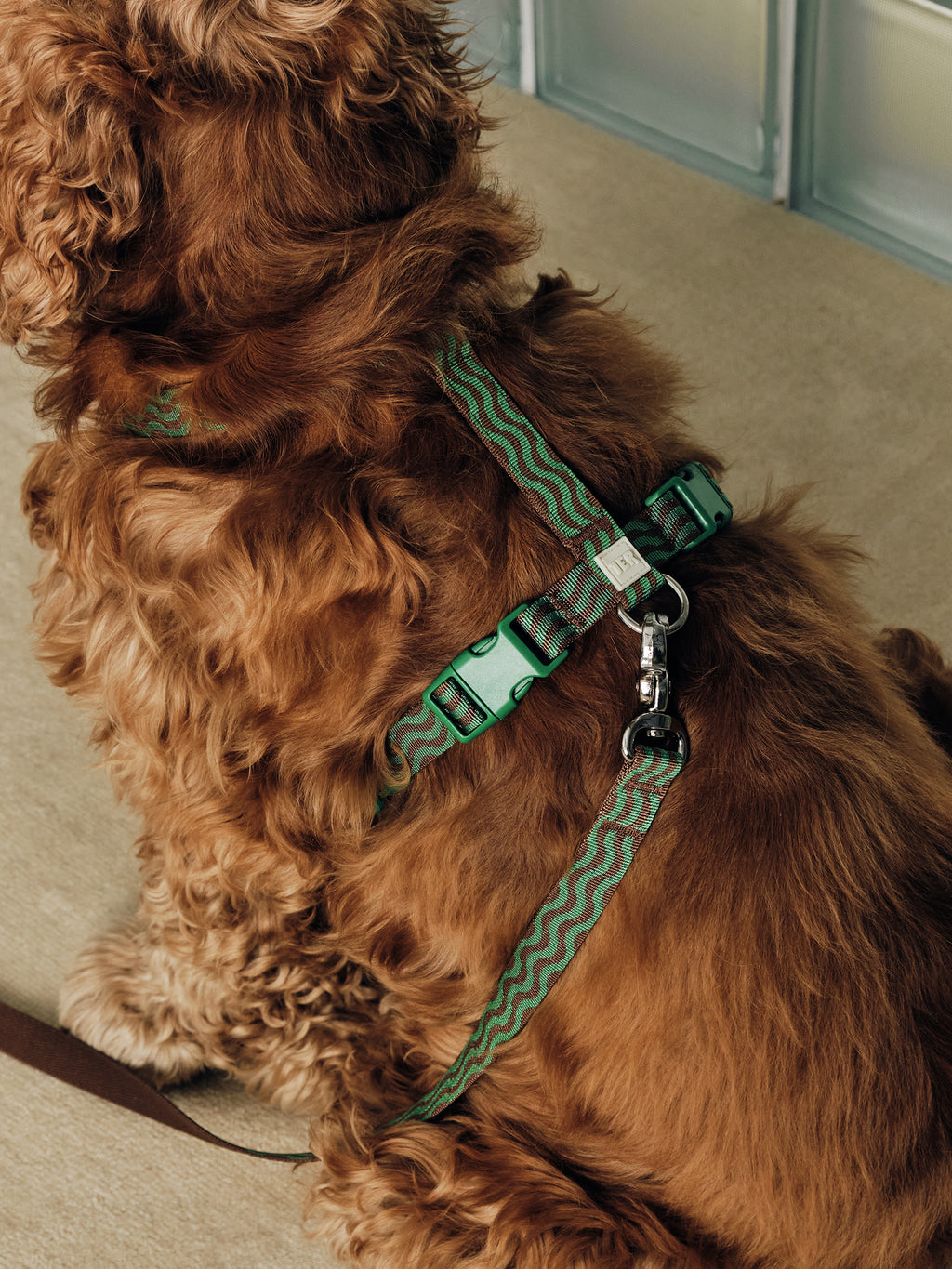 “The Laguna Wave” Leash