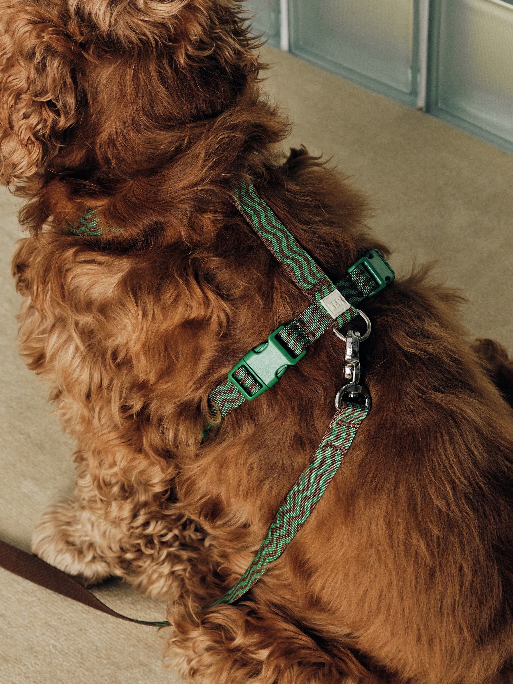 “The Laguna Wave” Leash