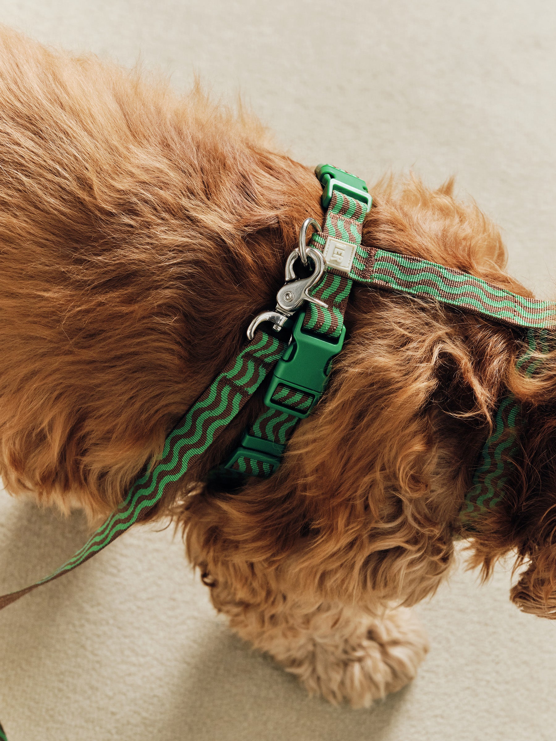 “The Laguna Wave” Harness