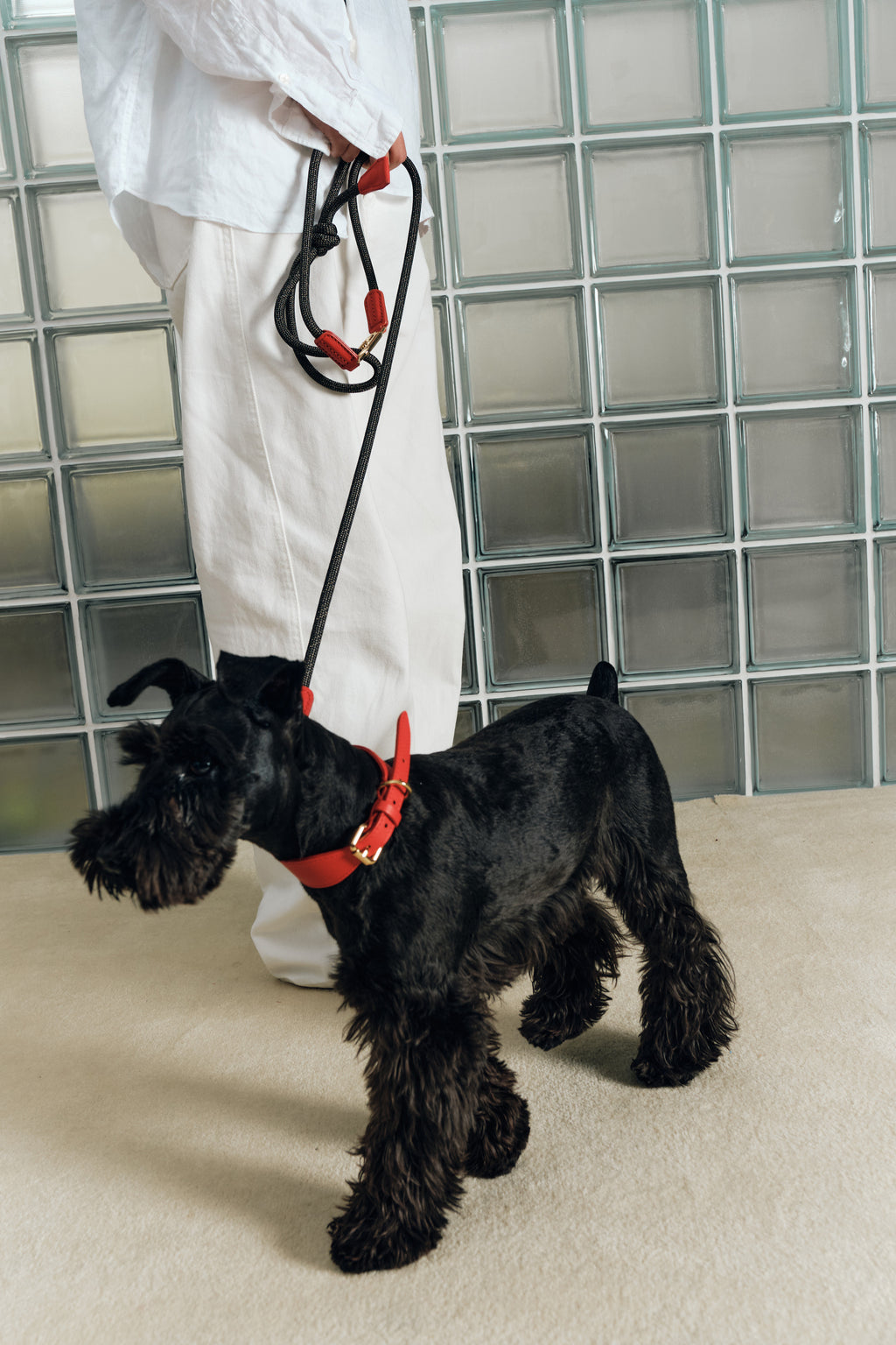 The Heritage leash