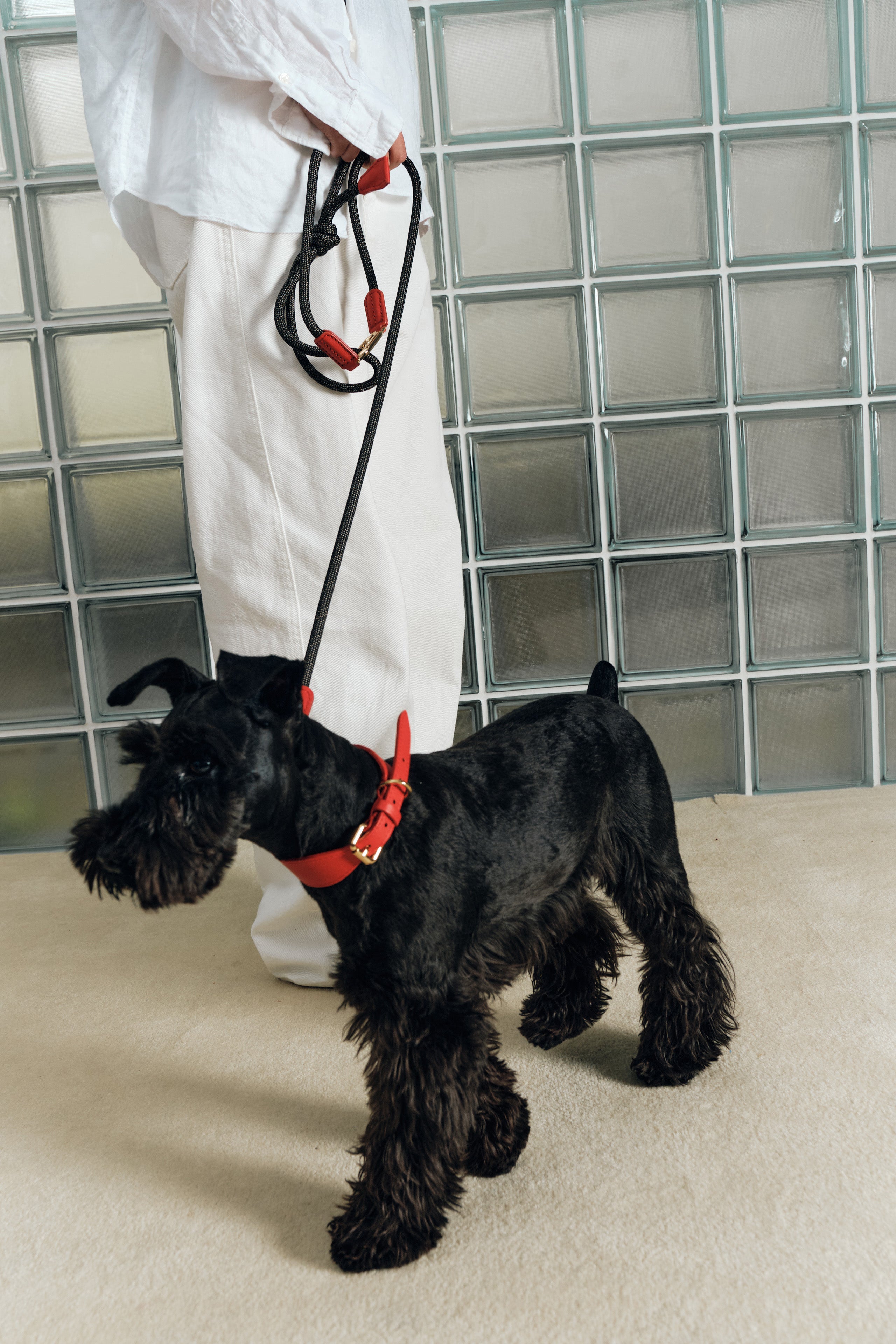 The Heritage leash