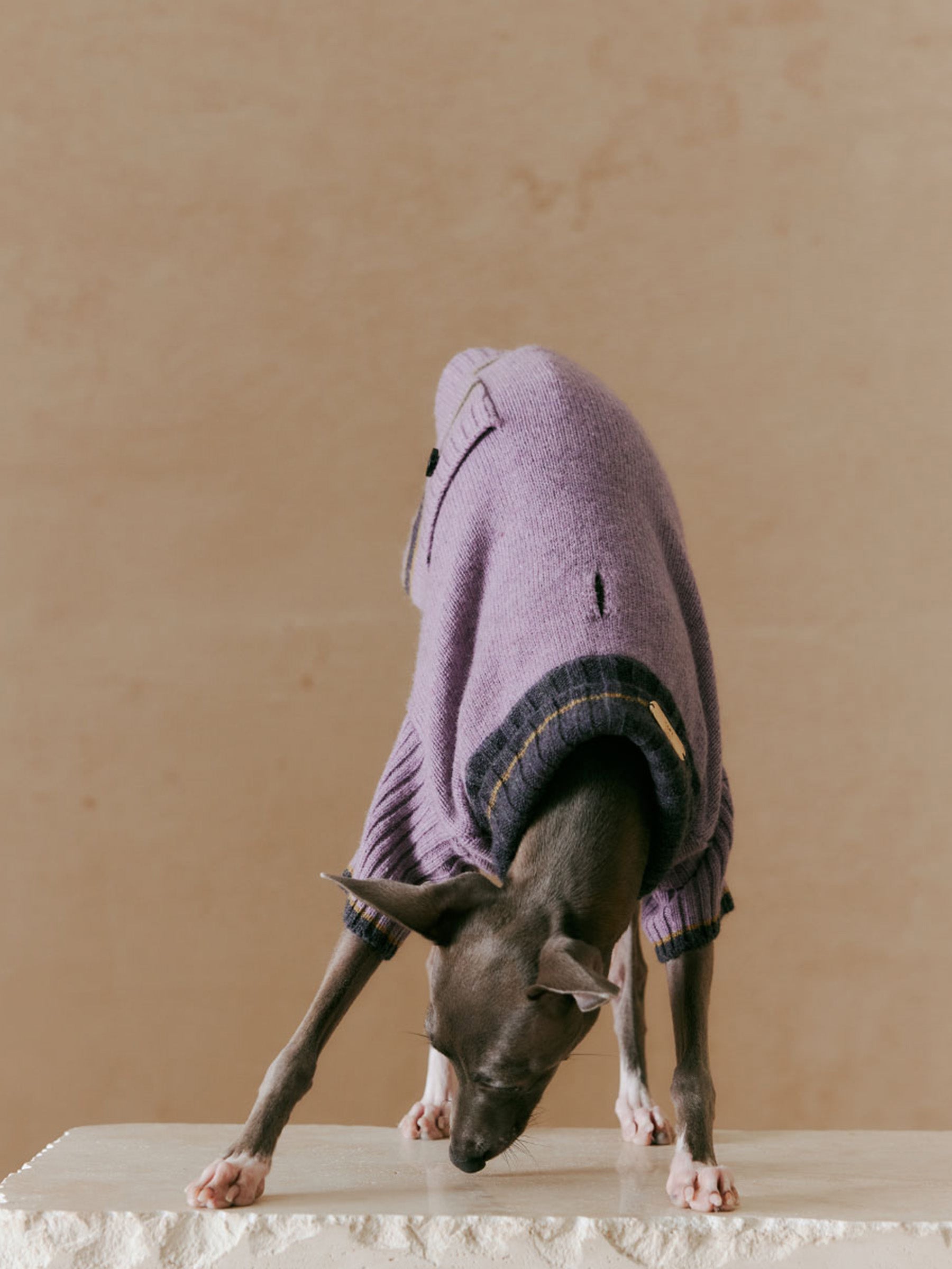 Cozy Hug sweater