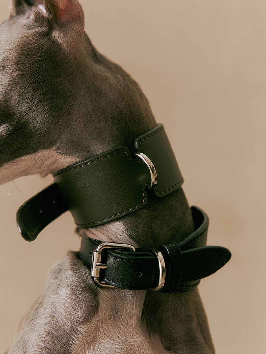 The Heritage Collar