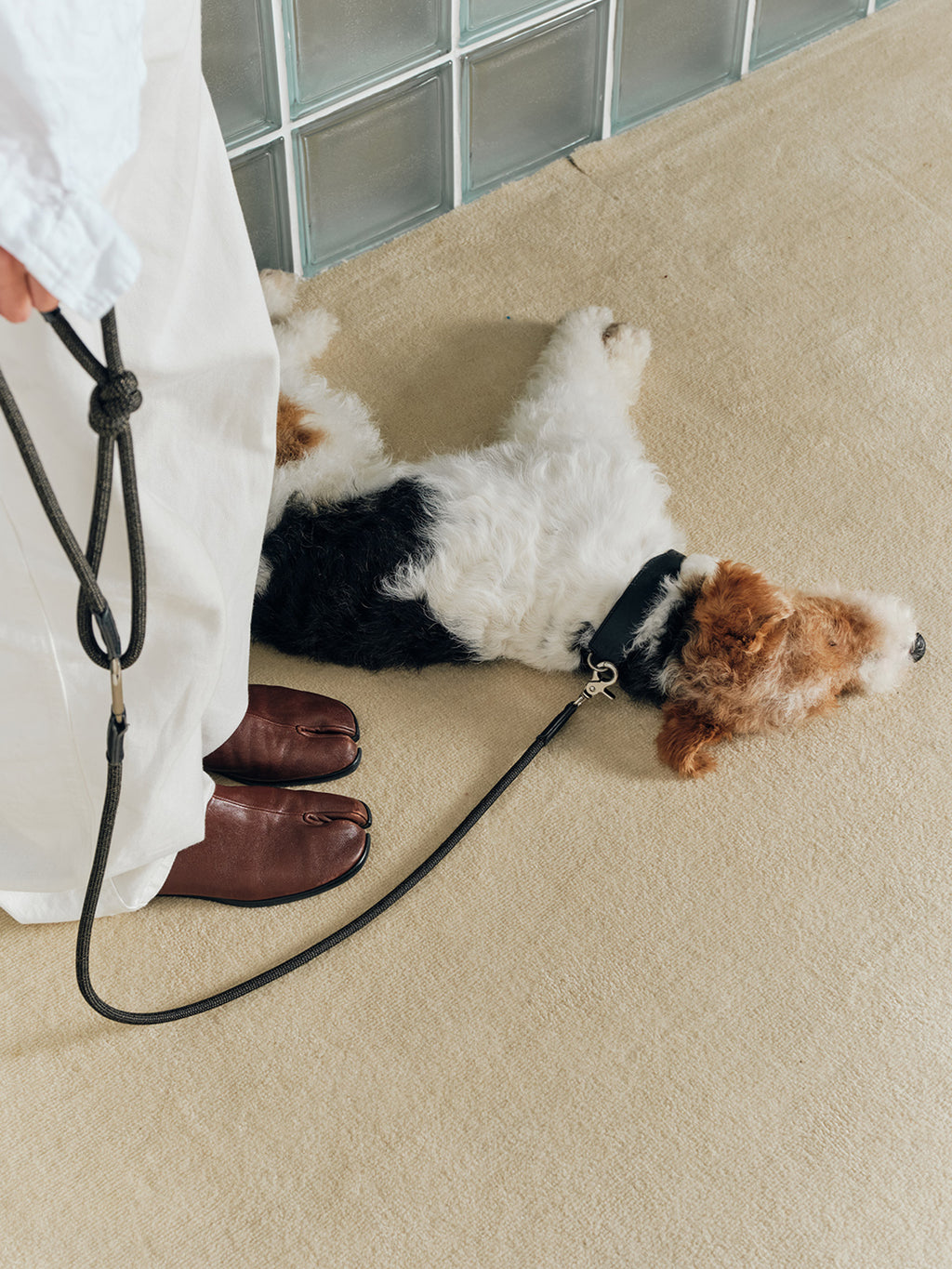 The Heritage leash