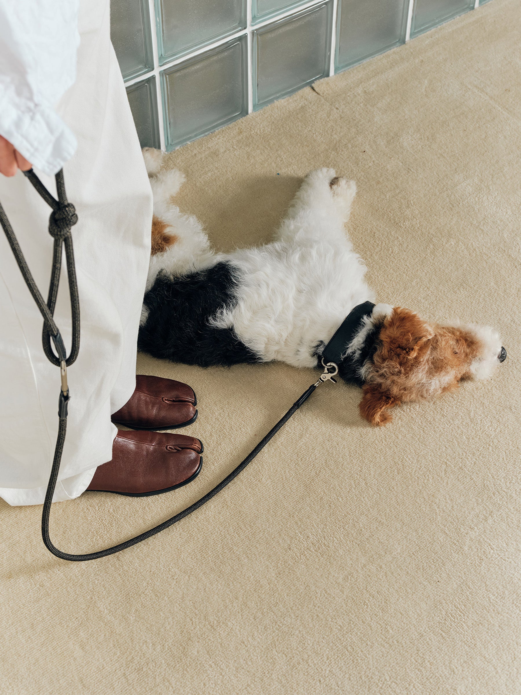 The Heritage leash