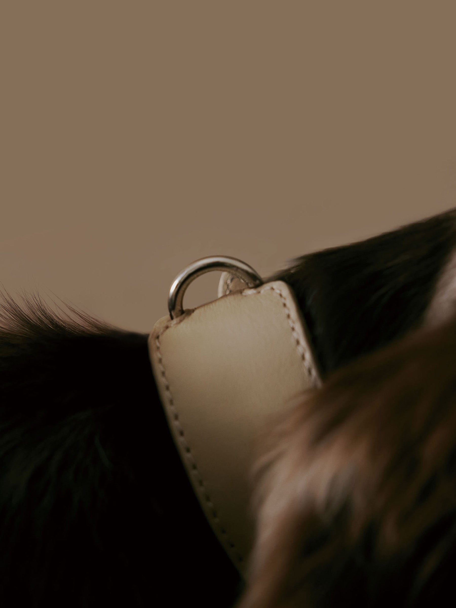 The Heritage Collar