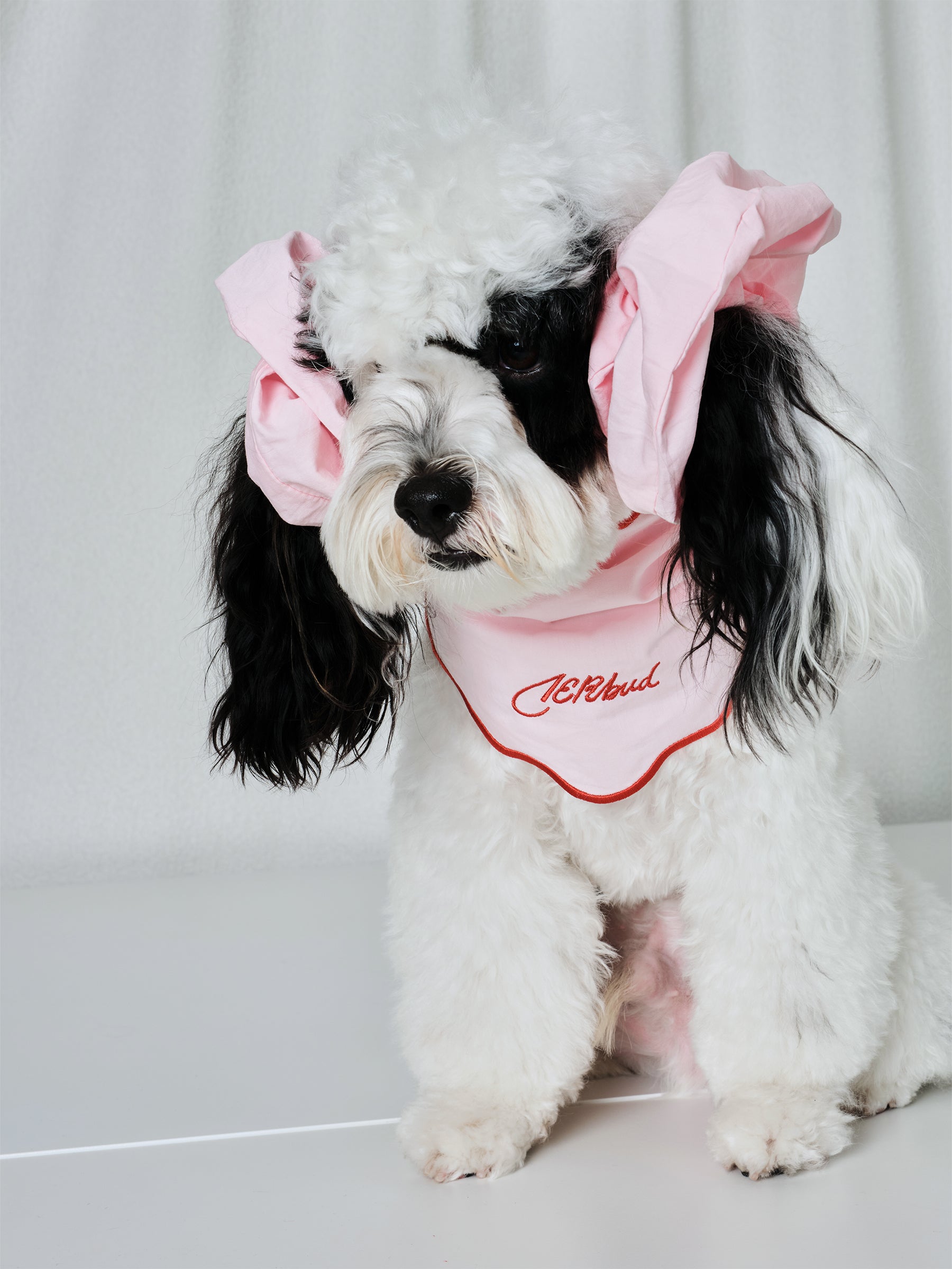 The Laguna Wave  Parent-pup Set