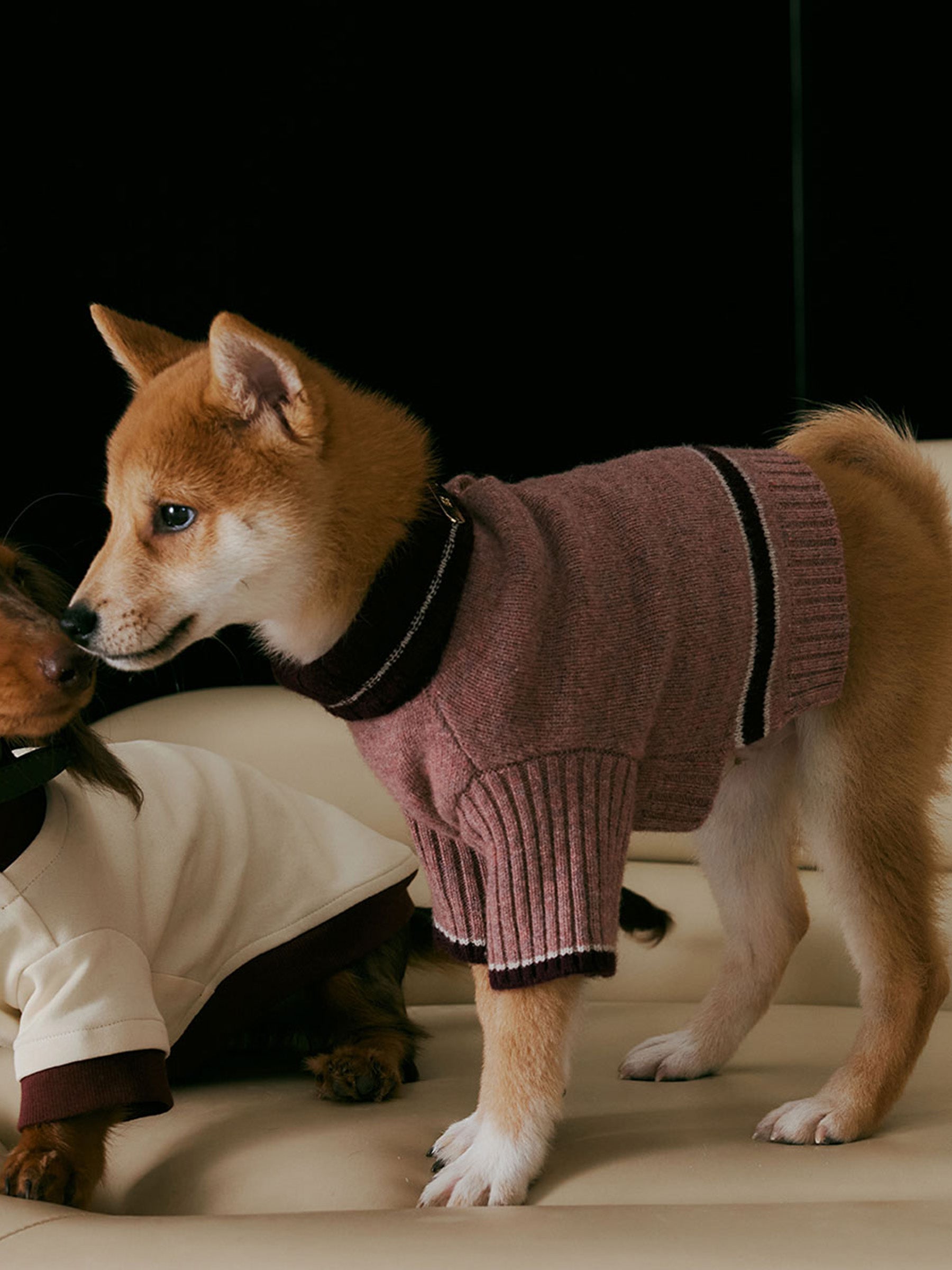 Cozy Hug sweater