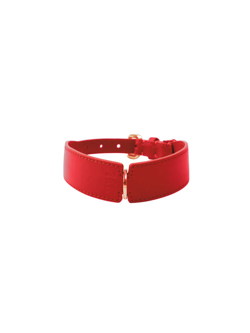 Classic H-shape Collar